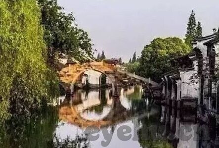 91精品一区二区麻豆-探索91精品一区二区的麻豆世界，艺术与欲望的交织