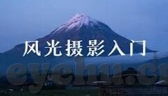 国产在线视频不卡一区二区-国产在线视频的流畅体验，一区二区的革新与进步