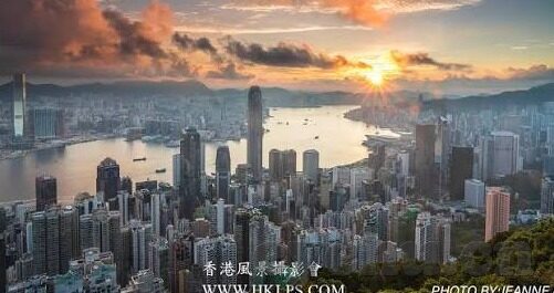 果冻视频传媒 杜鹃-杜鹃花开，果冻视频传媒的创意绽放