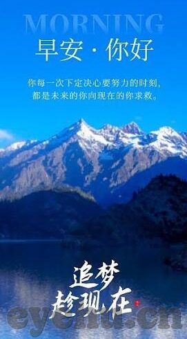伦理片排行榜在线观看-伦理片排行榜，在线观影的深度探索