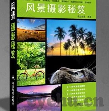 伦理片排行榜在线观看-伦理片，在线观影的深度体验与思考
