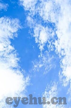 麻豆传媒-多元文化下的网络内容分析，麻豆传媒个案研究