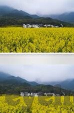 麻豆传媒在线播放入口-揭露在线出口的潜在风险与危害」