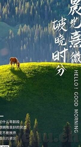 欧美成人精品视频在线观看-欧美成人精品视频，探索多元文化与艺术欣赏的边界