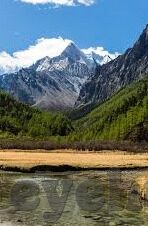 糖心视频app免费版-点亮生活，探索无界——糖心视频app免费版带来的全新观影体验